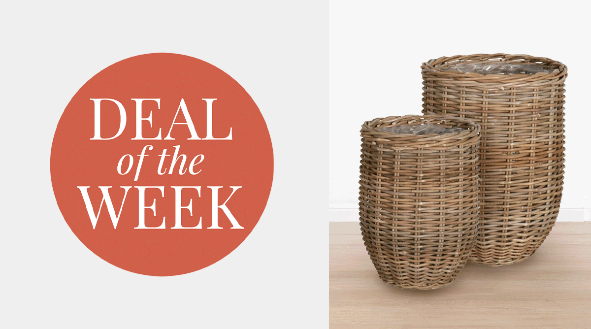 Deal of the Week
