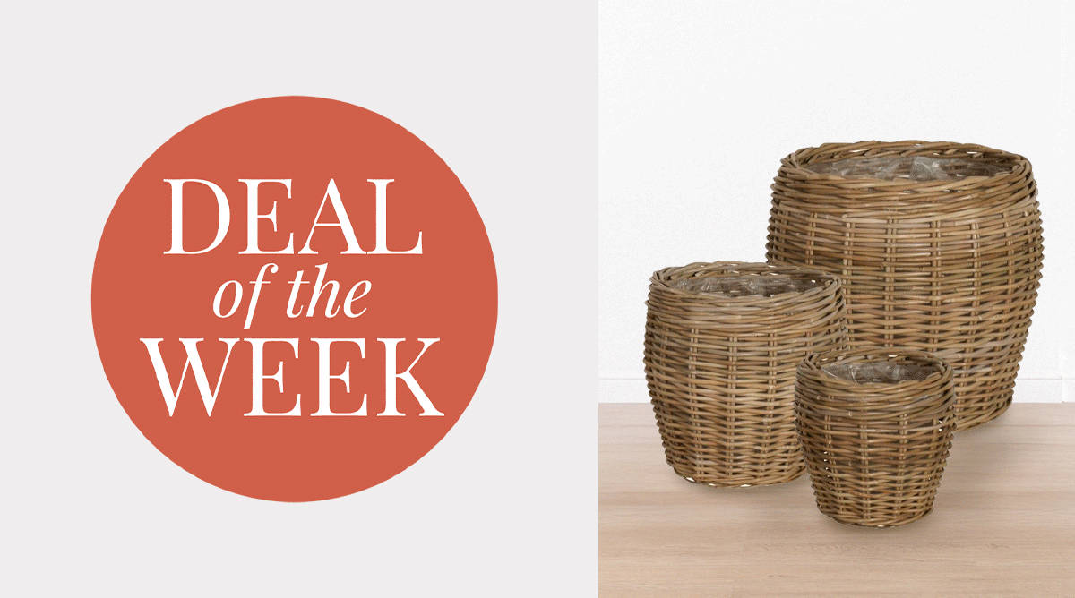 Deal of the Week
