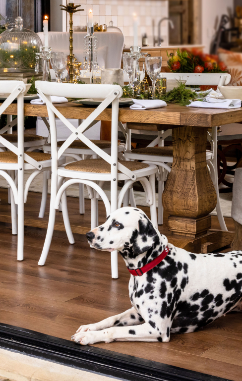 Distressed dining shop chairs