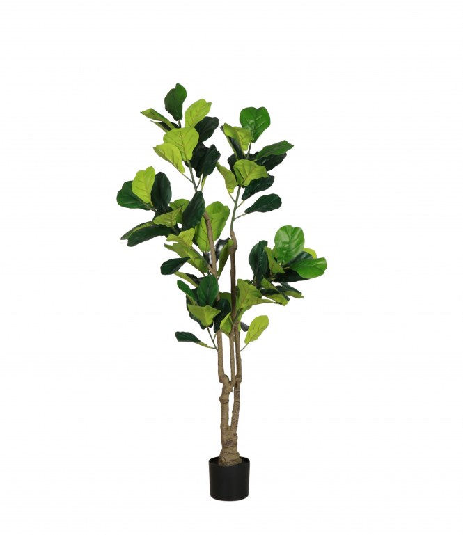 Faux Fiddle Leaf Tree 170 cm Block & Chisel