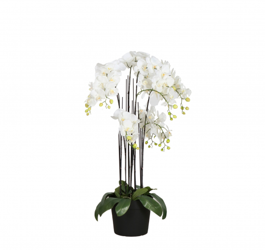 Faux 9 stem orchid in pot 
