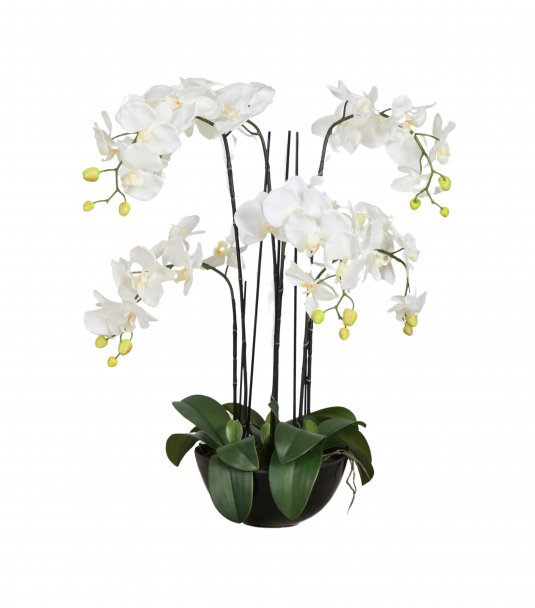 white faux orchid in black ceramic pot
