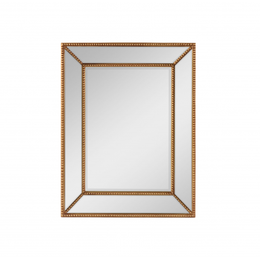 Block & Chisel rectangular mirror with antique gold frame