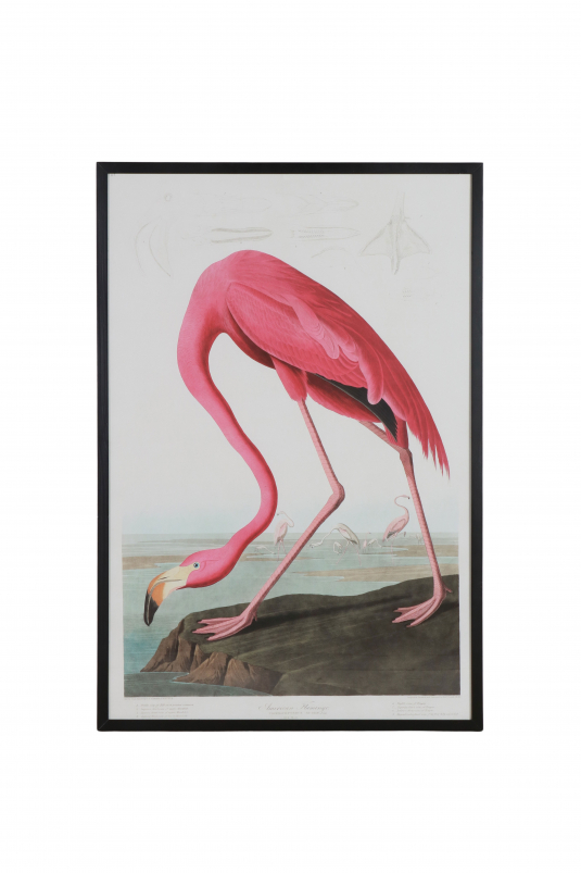 Flamingo bird print with wooden frame 
