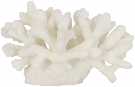 Block & Chisel white polyresin coral