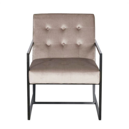 Drew occasional armchair with black metal frame and velvet tufted seating