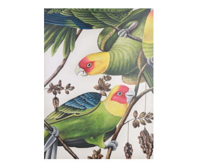 bird painting, replica, parakeet painting