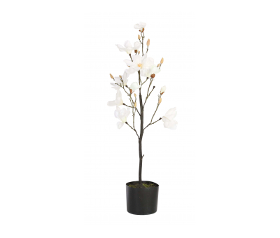 POTTED MAGNOLIA - faux white magnolia flowers, fake plastic artificial flowers without pot