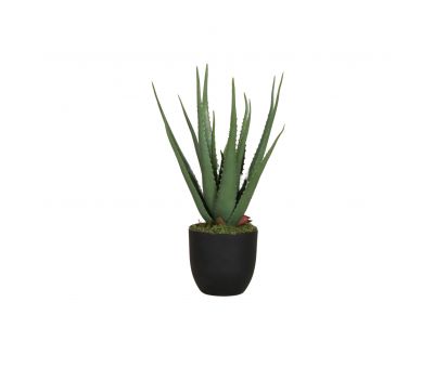 faux aloe in pot 