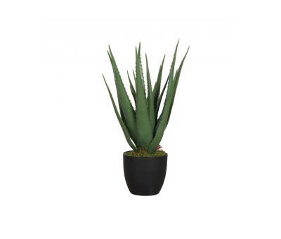 faux aloe in pot 