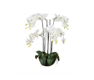 white faux orchid in black ceramic pot