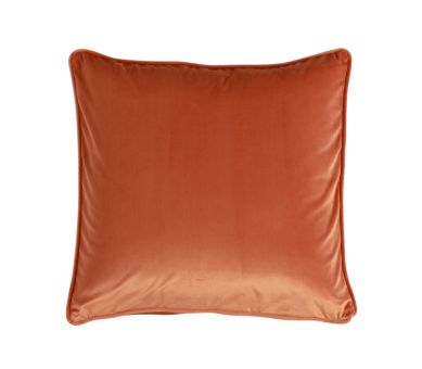 magical cushion in terra