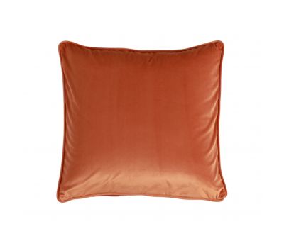 magical cushion in terra