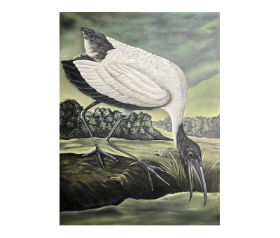 Sacred Ibis, Handpainted Replica, painting, bird painting