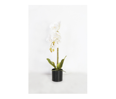 Faux orchid in pot