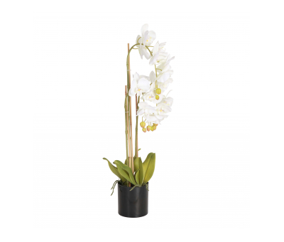 White faux orchid in pot 