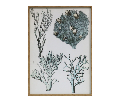 Block & Chisel framed seaweed print