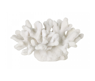 White faux coral 