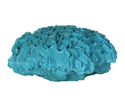 Block & Chisel blue polyresin coral