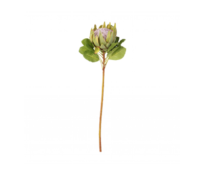 Faux King protea green