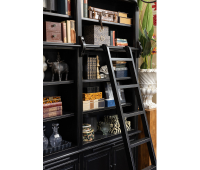 display bookcase with ladder in black