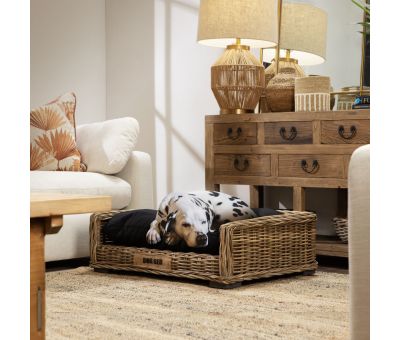 Rattan dog bed with cushion