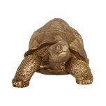 golden tortoise with textured shell decor