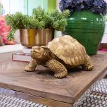 golden tortoise with textured shell decor