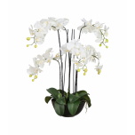 white faux orchid in black ceramic pot