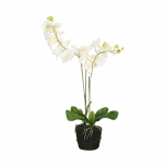 White faux artificial fake orchid plant flower