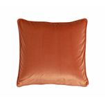 magical cushion in terra