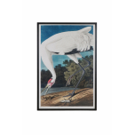 framed bird print