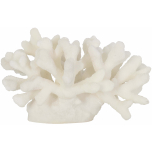 Block & Chisel white polyresin coral