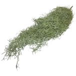 Block & Chisel tilancia silk bush