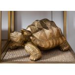 golden tortoise with textured shell decor