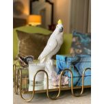 Block & Chisel ceramic bird cockatoo