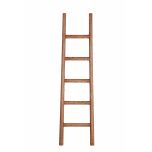 Old elm wooden ladder karoo collection 