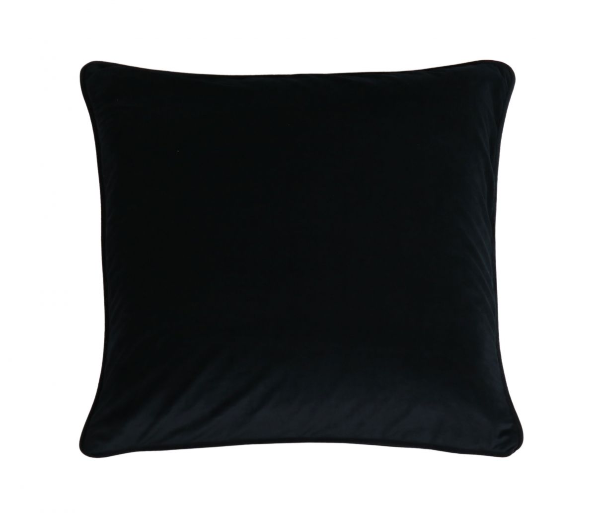 black velvet cushion 